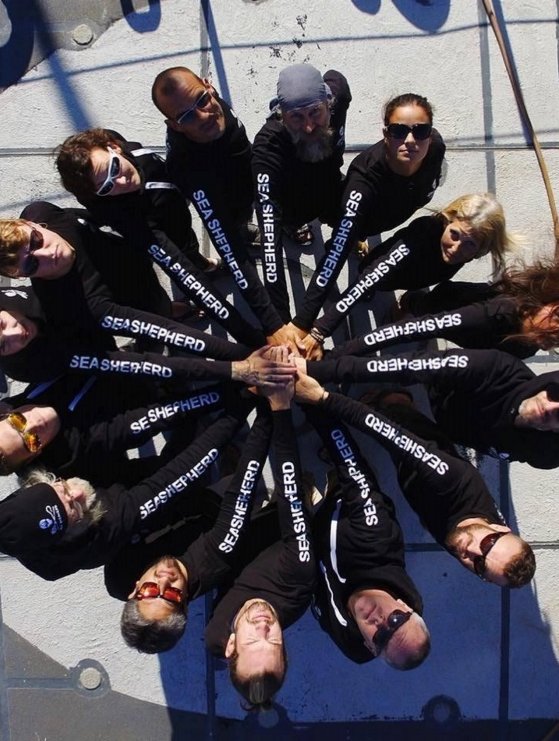 crew_star559.jpg__559x741_q85_crop_subsampling-2